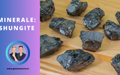 Shungite e i Suoi Segreti: Storia, Proprietà, Benefici e Corrispondenze per la Cristalloterapia