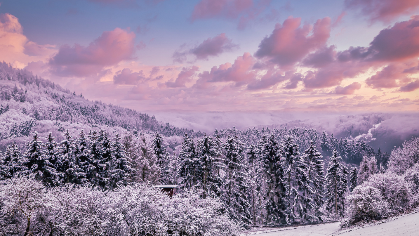 Inverno stagione