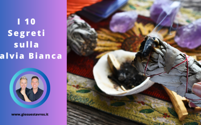 I 10 Segreti sulla Salvia Bianca che Nessuno Ti Rivela