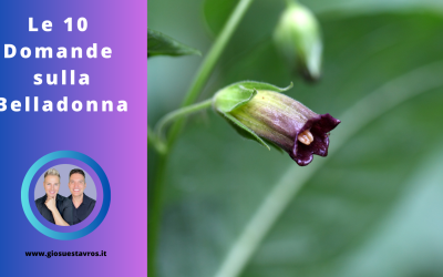 Scopri le 10 Domande e Curiosità sulla Belladonna (Atropa belladonna) nello Sciamanesimo