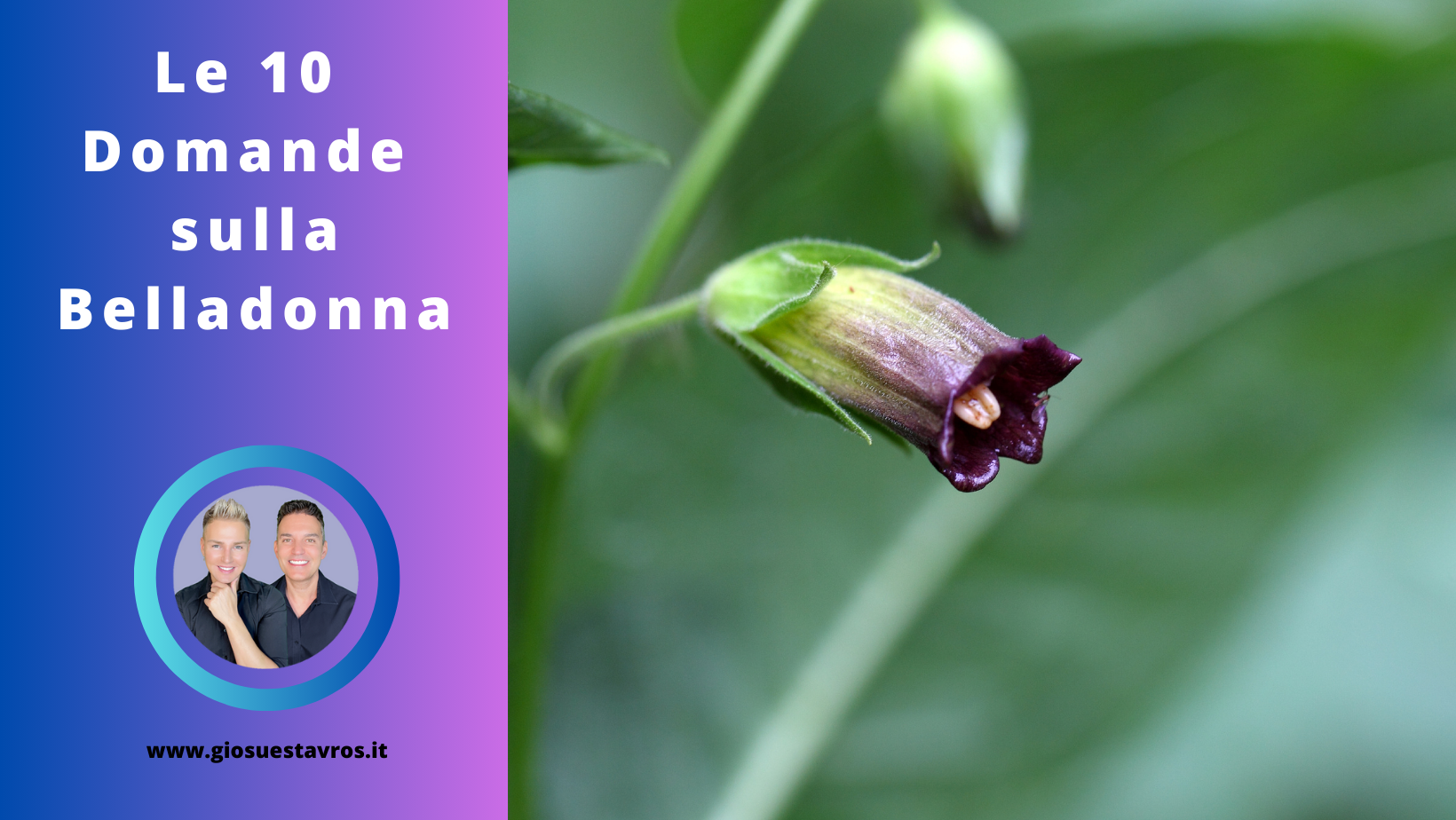 Belladonna Sciamanesimo