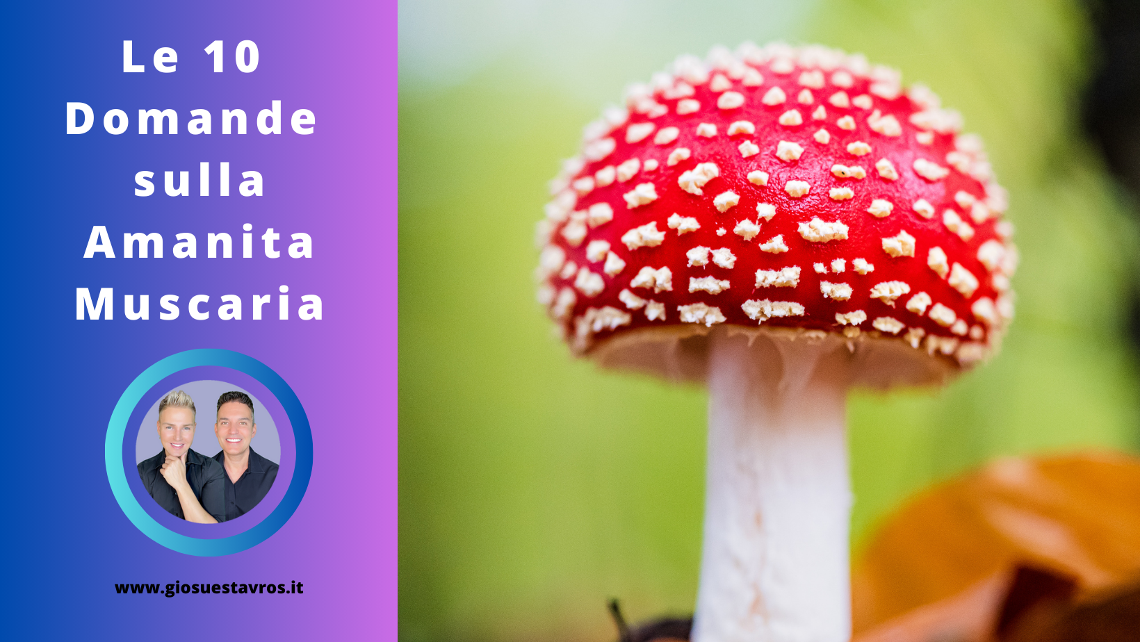 Domande Amanita muscaria Sciamanesimo