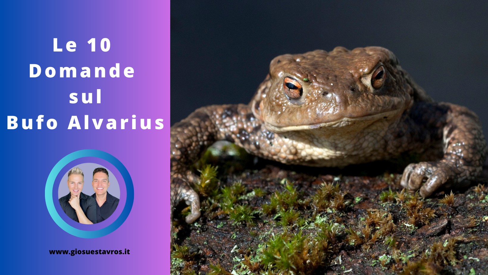 Domande Bufo Alvarius Sciamanesimo