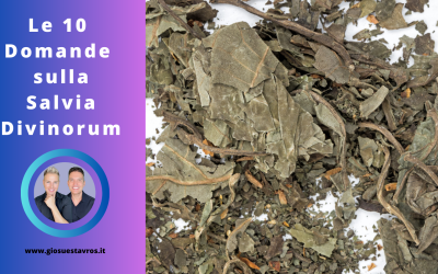 Scopri le 10 Domande e Curiosità sulla Salvia Divinorum nello Sciamanesimo