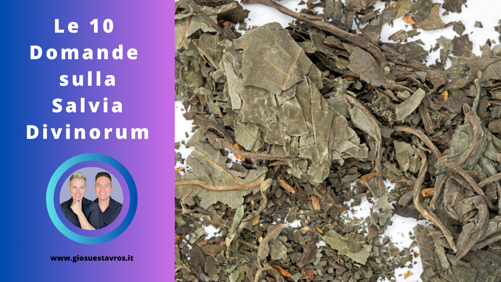 Domande Salvia Divinorum Sciamanesimo