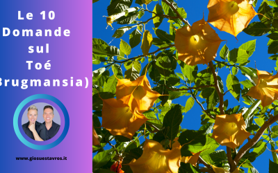I 10 Segreti sul Toé (Brugmansia) nello Sciamanesimo che Nessuno ti Rivela