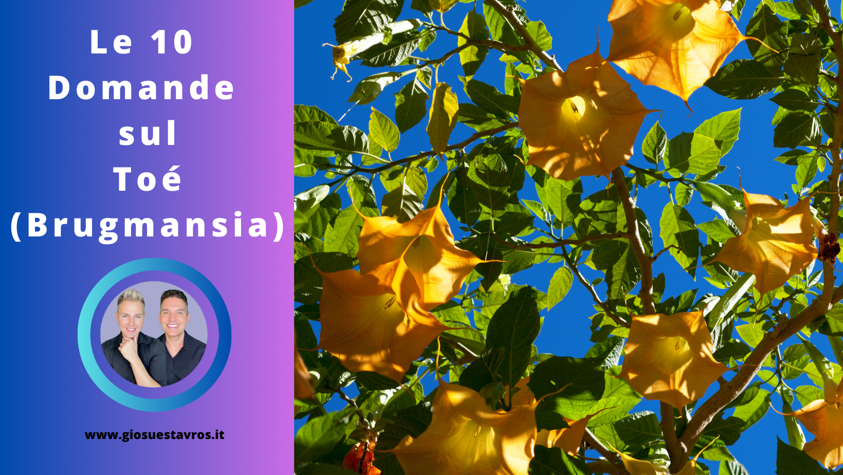 Domande Toé Sciamanesimo