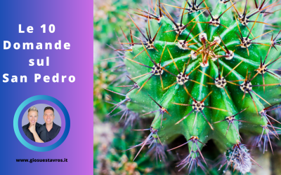 10 Domande e Curiosità sul San Pedro (Huachuma) nello sciamanesimo