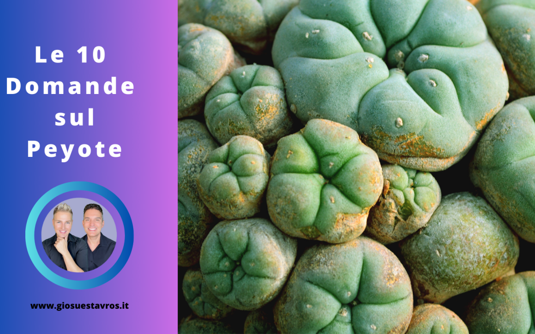 Scopri le 10 Domande e Curiosità sul Peyote nello sciamanesimo