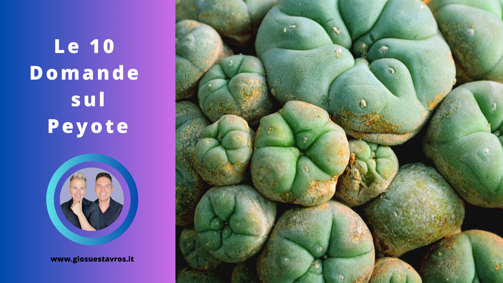 Domande sul peyote