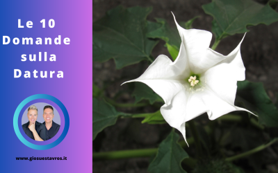 Scopri le 10 Domande e Curiosità sulla Datura nello Sciamanesimo