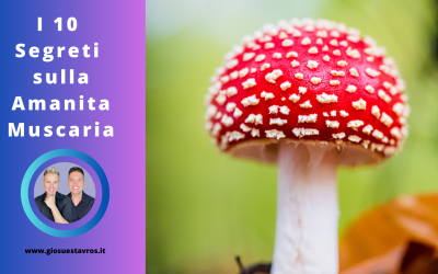 I 10 Segreti sulla Amanita Muscaria nello Sciamanesimo che Nessuno ti Rivela