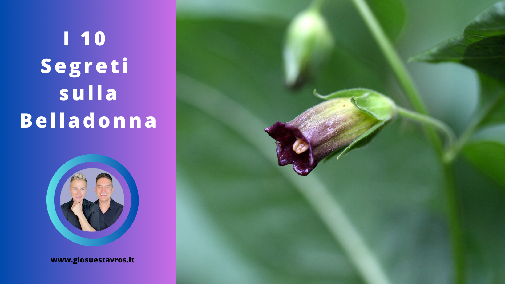 Segreti Belladonna Sciamanesimo
