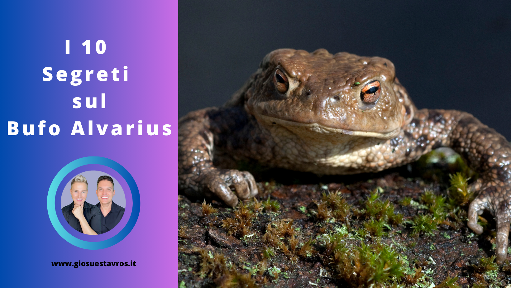 Segreti Bufo Alvarius Sciamanesimo