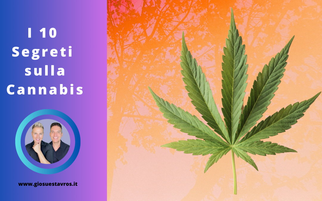 I 10 Segreti sul Cannabis nello sciamanesimo che nessuno ti rivela