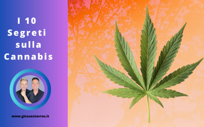 I 10 Segreti sul Cannabis nello sciamanesimo che nessuno ti rivela