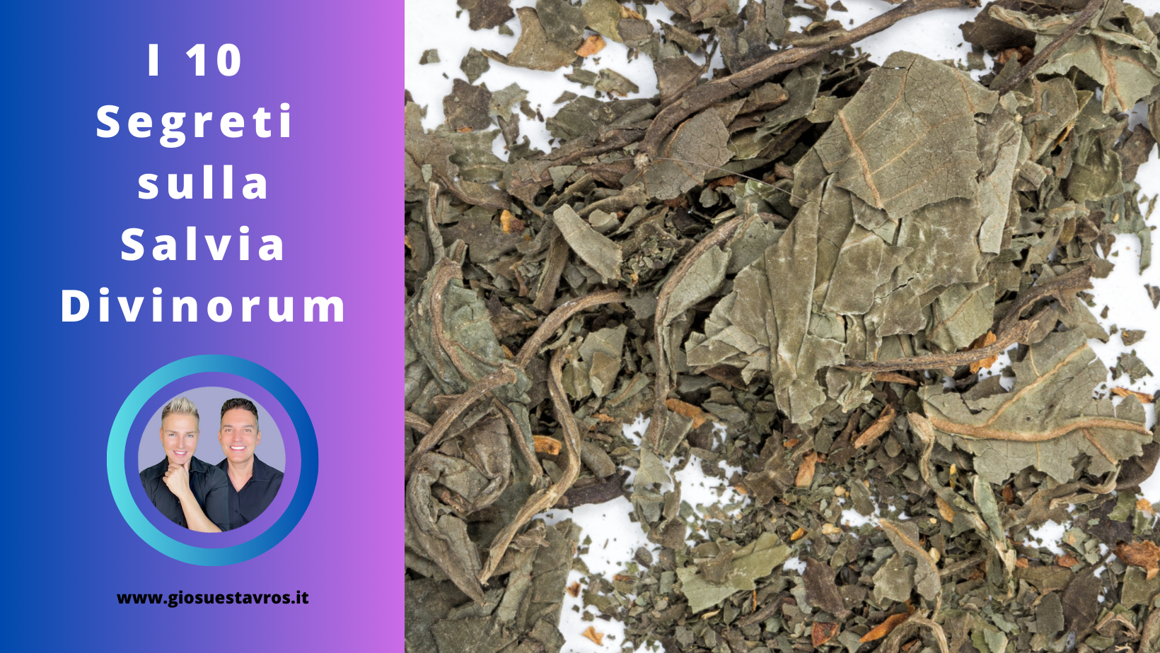 Segreti Salvia Divinorum Sciamanesimo