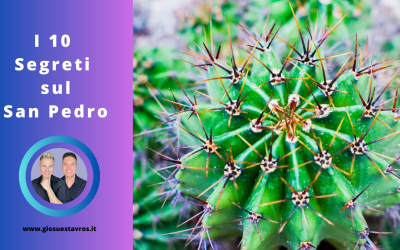 I 10 Segreti sul San Pedro (Huachuma) nello sciamanesimo che nessuno ti rivela