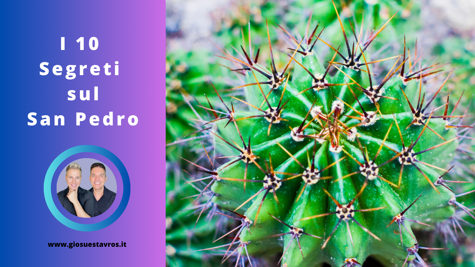 Segreti sul San Pedro Sciamanesimo