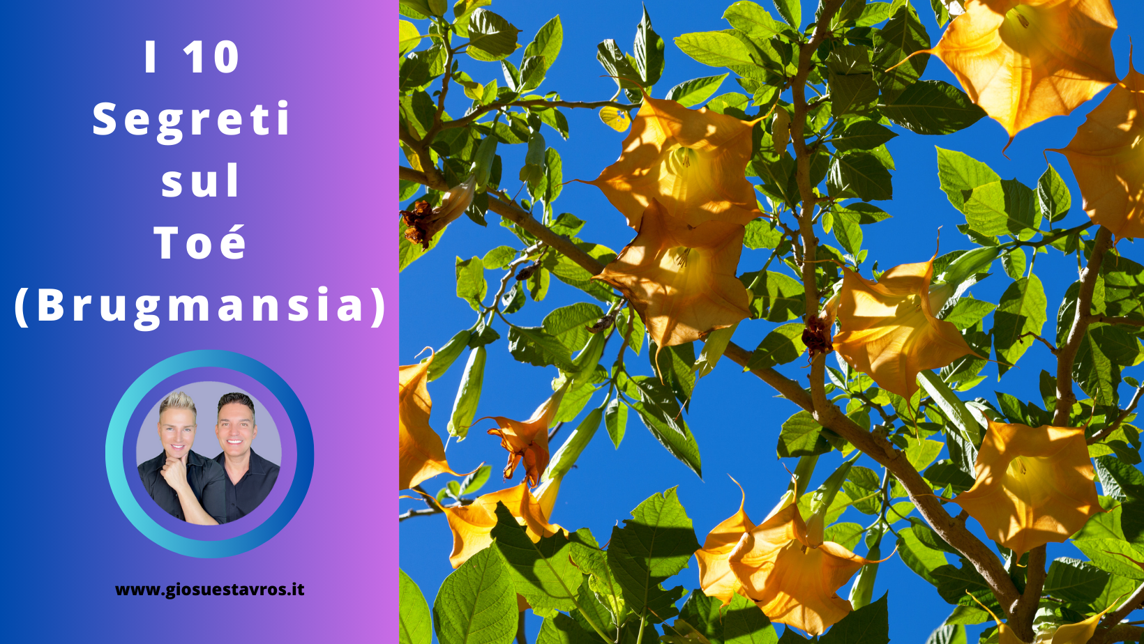 Segreti sul Toé Sciamanesimo