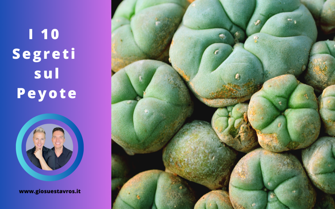 I 10 Segreti sul Peyote nello sciamanesimo che nessuno ti rivela