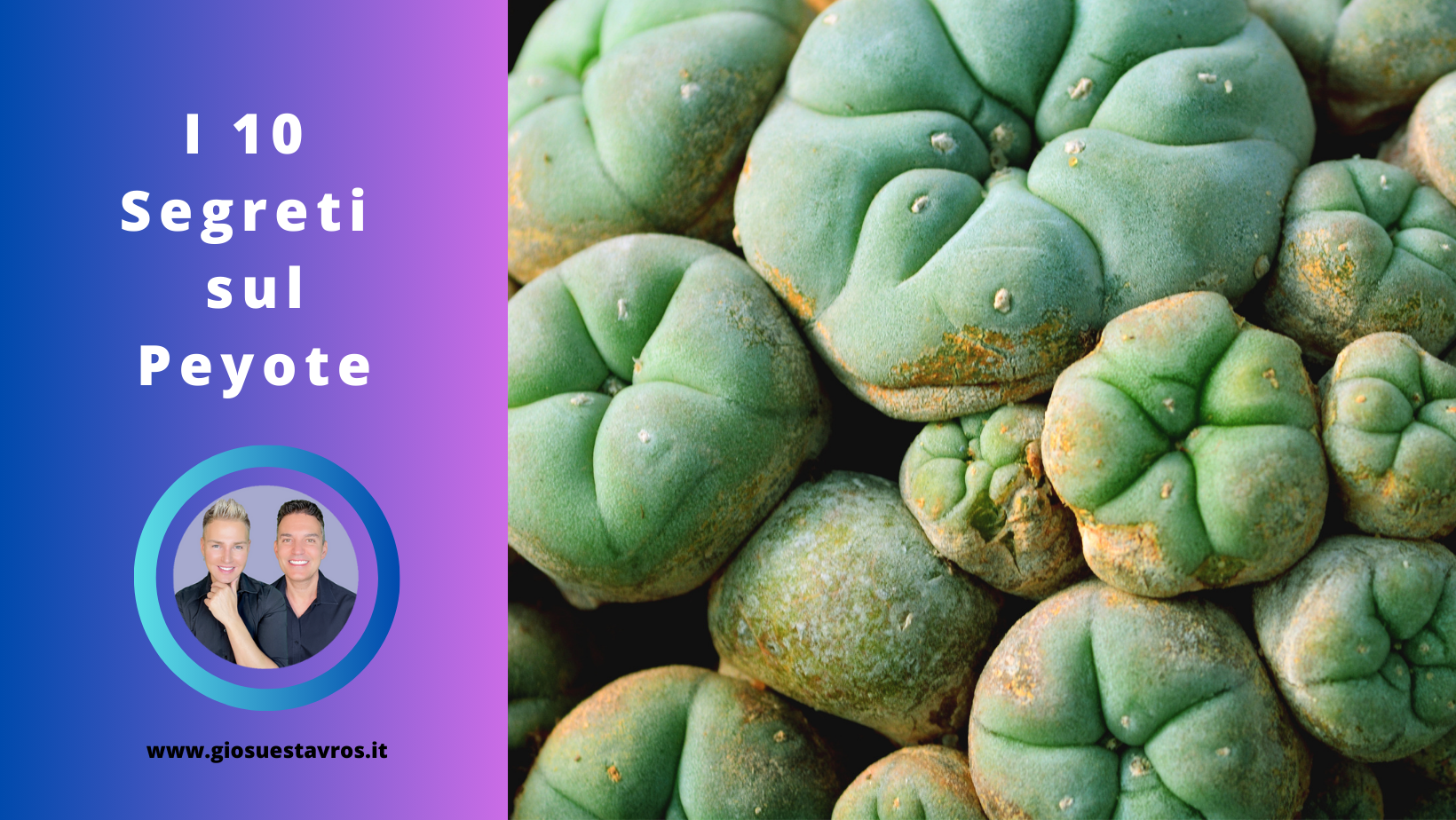 Segreti sul peyote